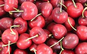 Cherry Canada