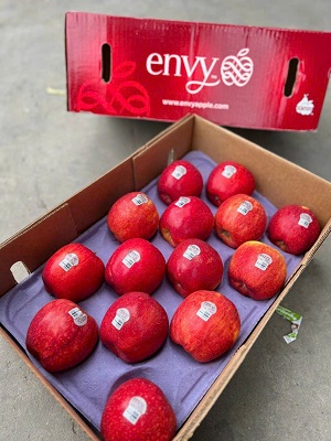 Táo Envy Mỹ size 28