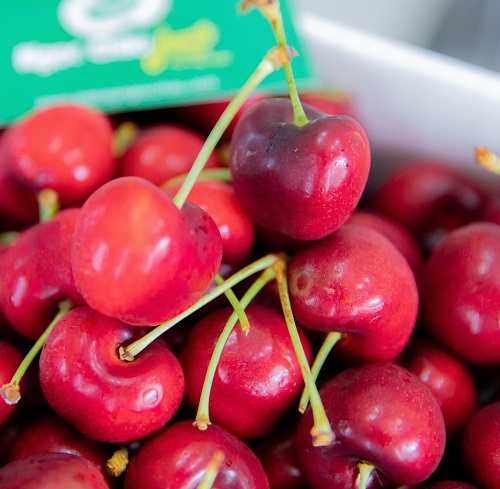 Cherry Mỹ