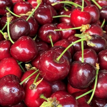 Quả Cherry loại hoa quả nhập khẩu dành cho bé yêu