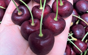 Tác dụng tuyệt vời của quả cherry