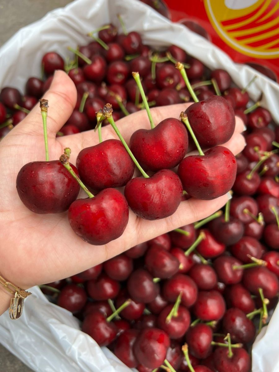 Cherry Mỹ thùng 5kg