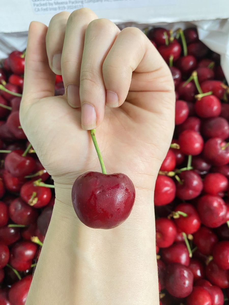 Cherry Mỹ thùng 5kg