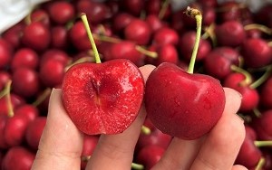 quả cherry