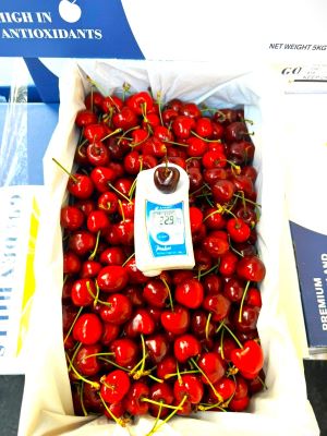 hộp cherry New Zealand 2kg