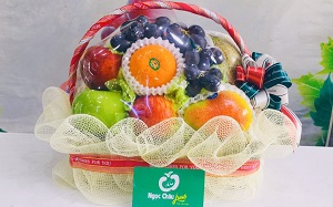 Mua giỏ hoa quả biếu tết tại Ngọc Châu fruits