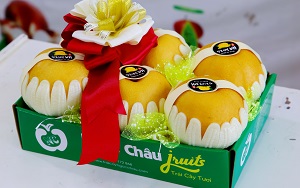 Cửa hàng trái cây nhập khẩu Ngọc Châu fruits 584 Thụy Khuê, Tây Hồ, Hà Nội