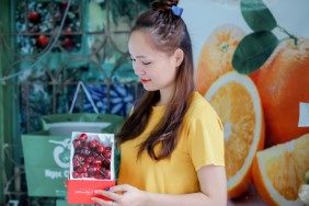 cherry vàng Mỹ