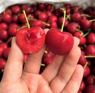 Bán cherry tại Hoàng Mai