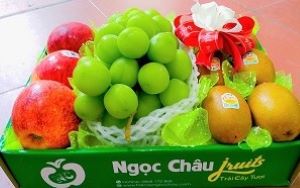 Set hoa quả nhập khẩu