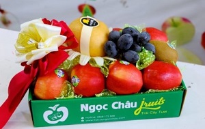 khay trái cây nhập khẩu