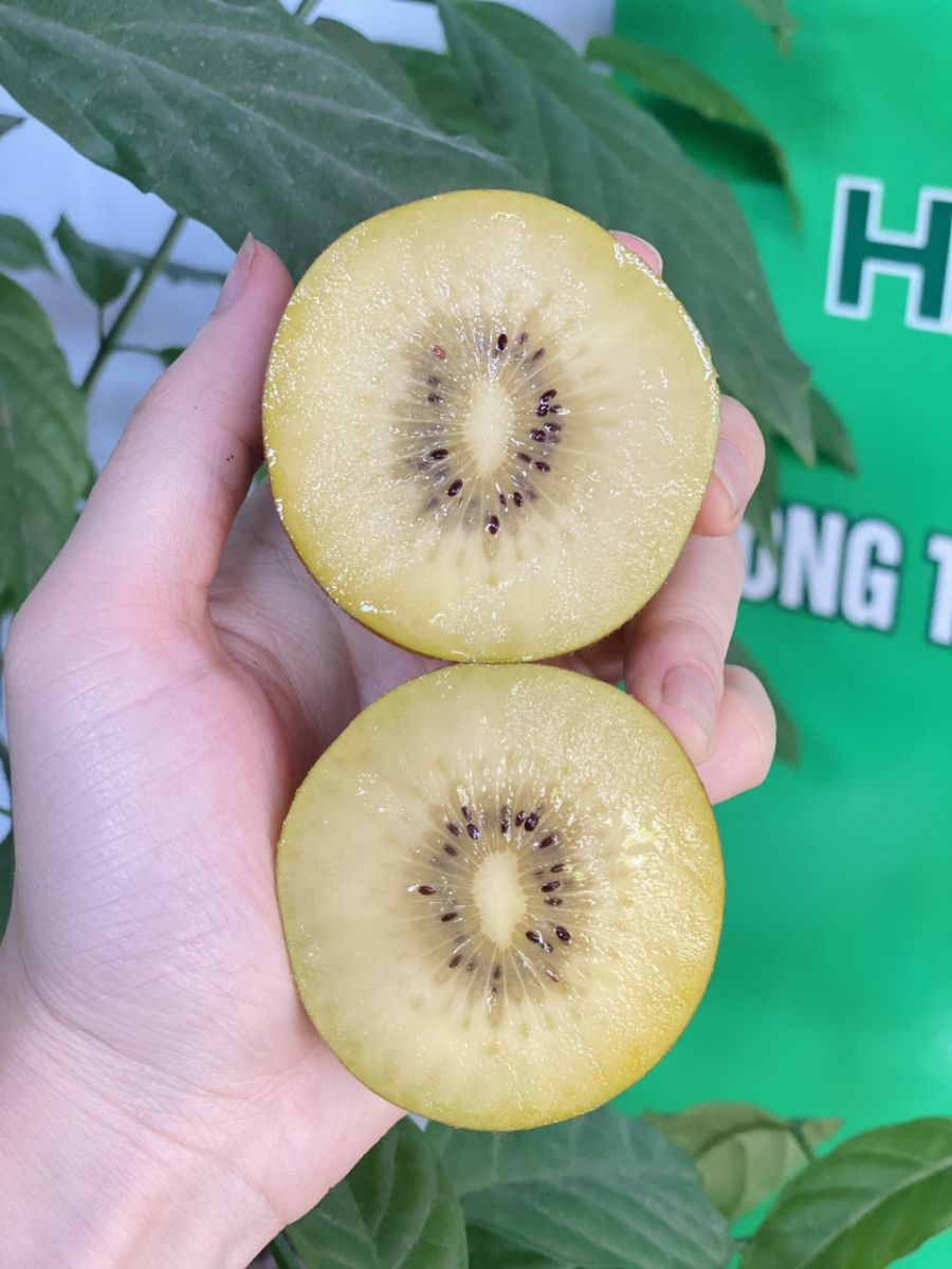 Hình ảnh quả kiwi vàng New Zealand