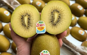 kiwi vàng