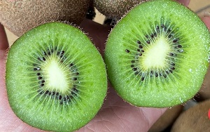 Quả kiwi xanh nhập khẩu từ New Zealand