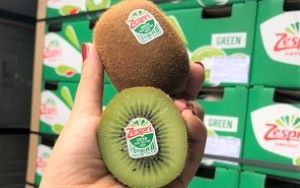 so sánh và nhận biết kiwi xanh và kiwi vàng New Zealand